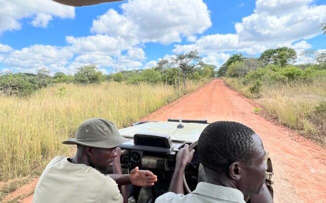 Lu-McCance-Price-Mawimbi-bush-camp-IMG_0185 Game Drive